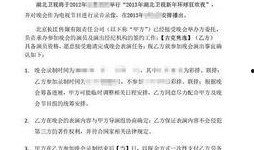 湖北电视台最新爆料