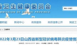 柴油最新爆料新闻报道视频,柴油行业重大爆料，视频曝光惊人内幕